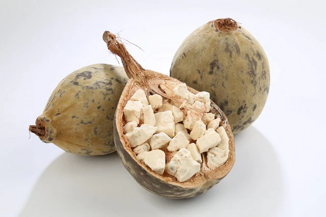 Fruits de Baobab Entiers