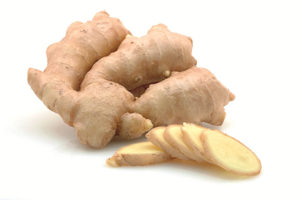 Gingenbre (Ginger)
